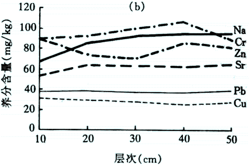 nr990114-2.gif