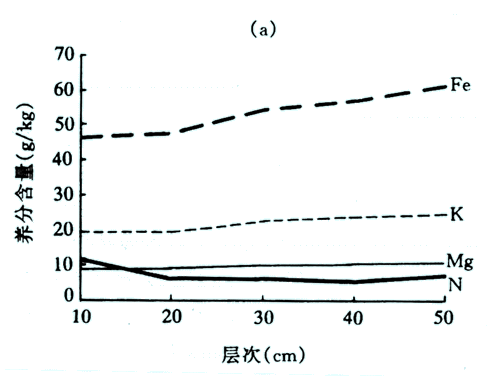 nr990114-3.gif
