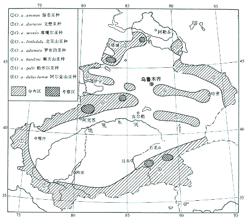 nr980108-1.gif (34564 bytes)